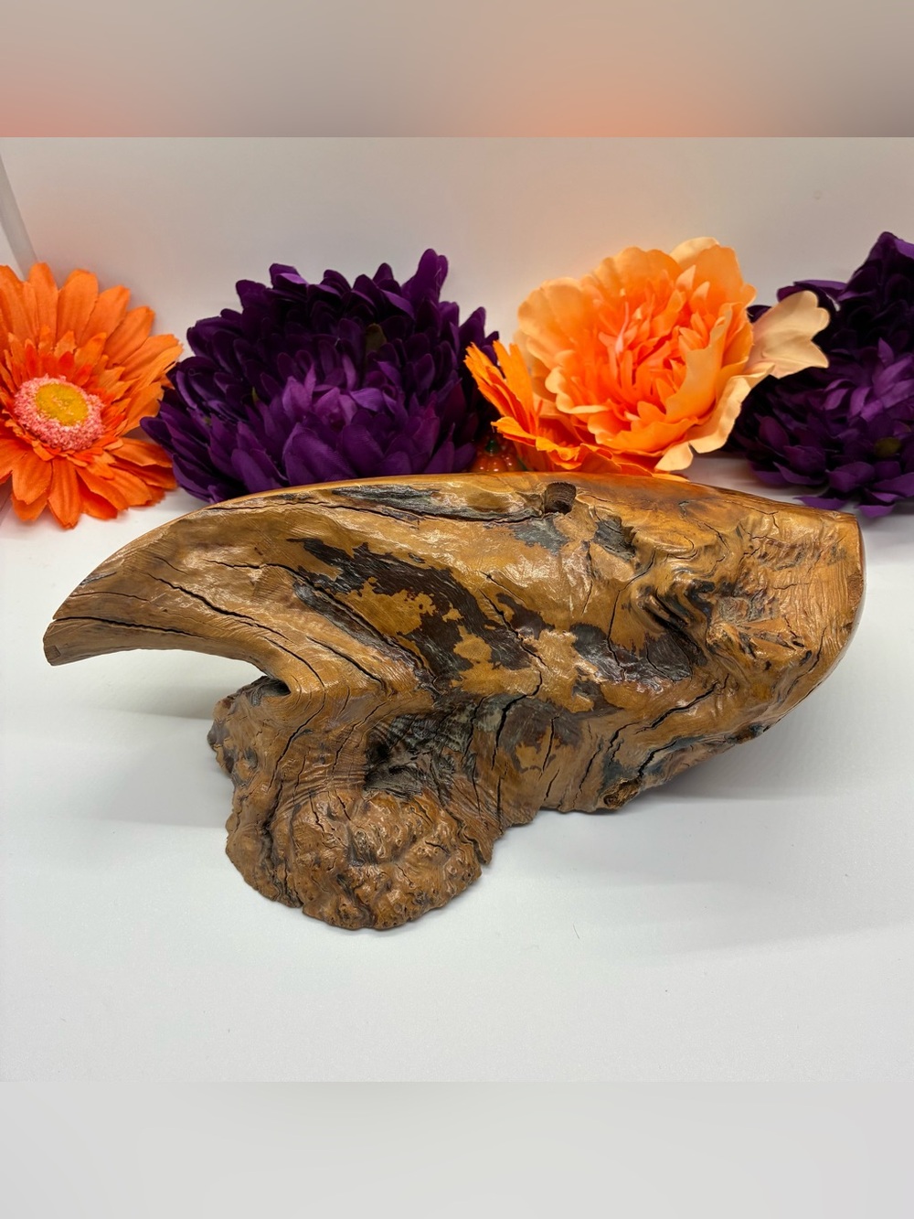 VINTAGE PETRIFIED WOOD PEN HOLDER